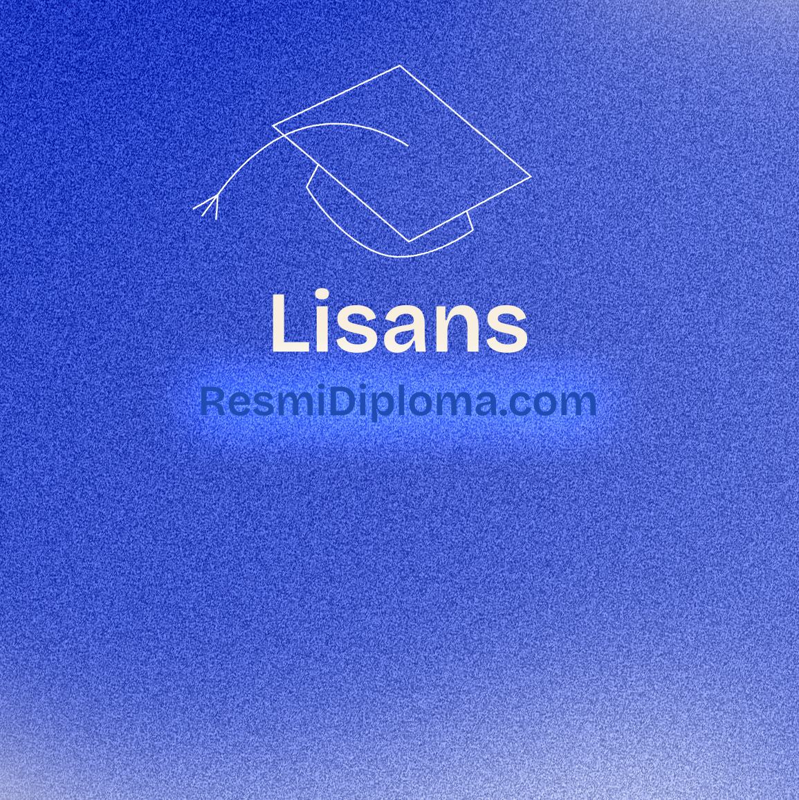 Lisans